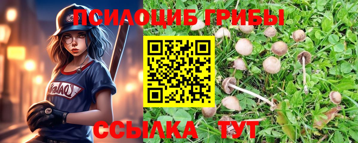Псилоцибиновые грибы Psilocybine cubensis  Вход с VPN  Алатырь 